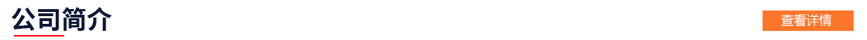 公司簡介
